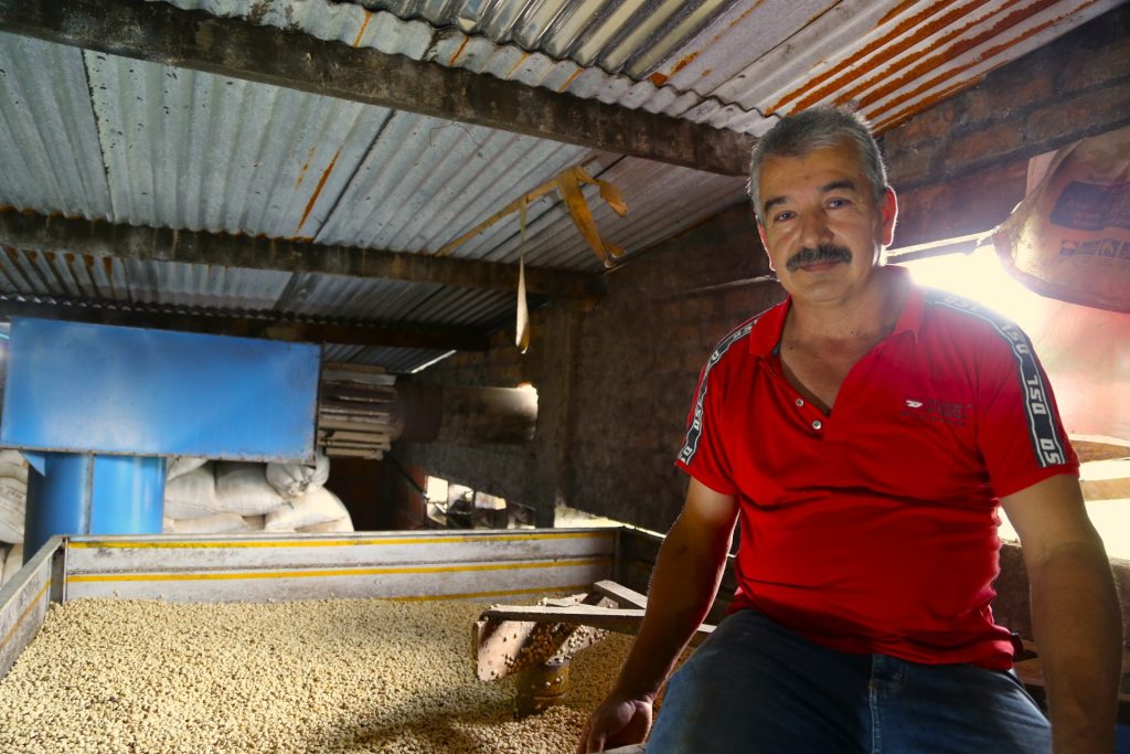 Colombia Cauca Cajibio Castillo A (12oz. Bag)