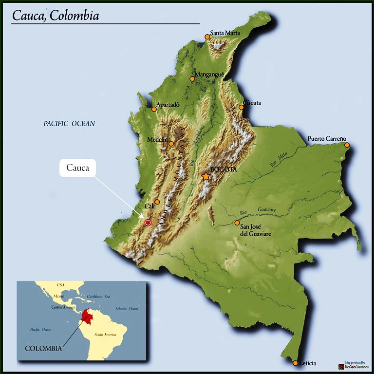 Colombia Cauca Cajibio Castillo A (12oz. Bag)